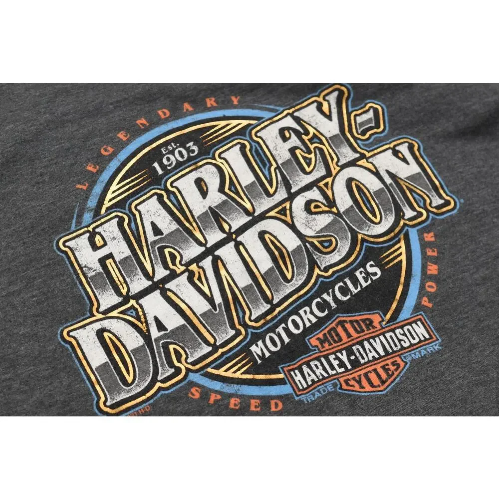 Harley-Davidson Highland Somerset PA Graphic T-Shirt Gray Heather Size M